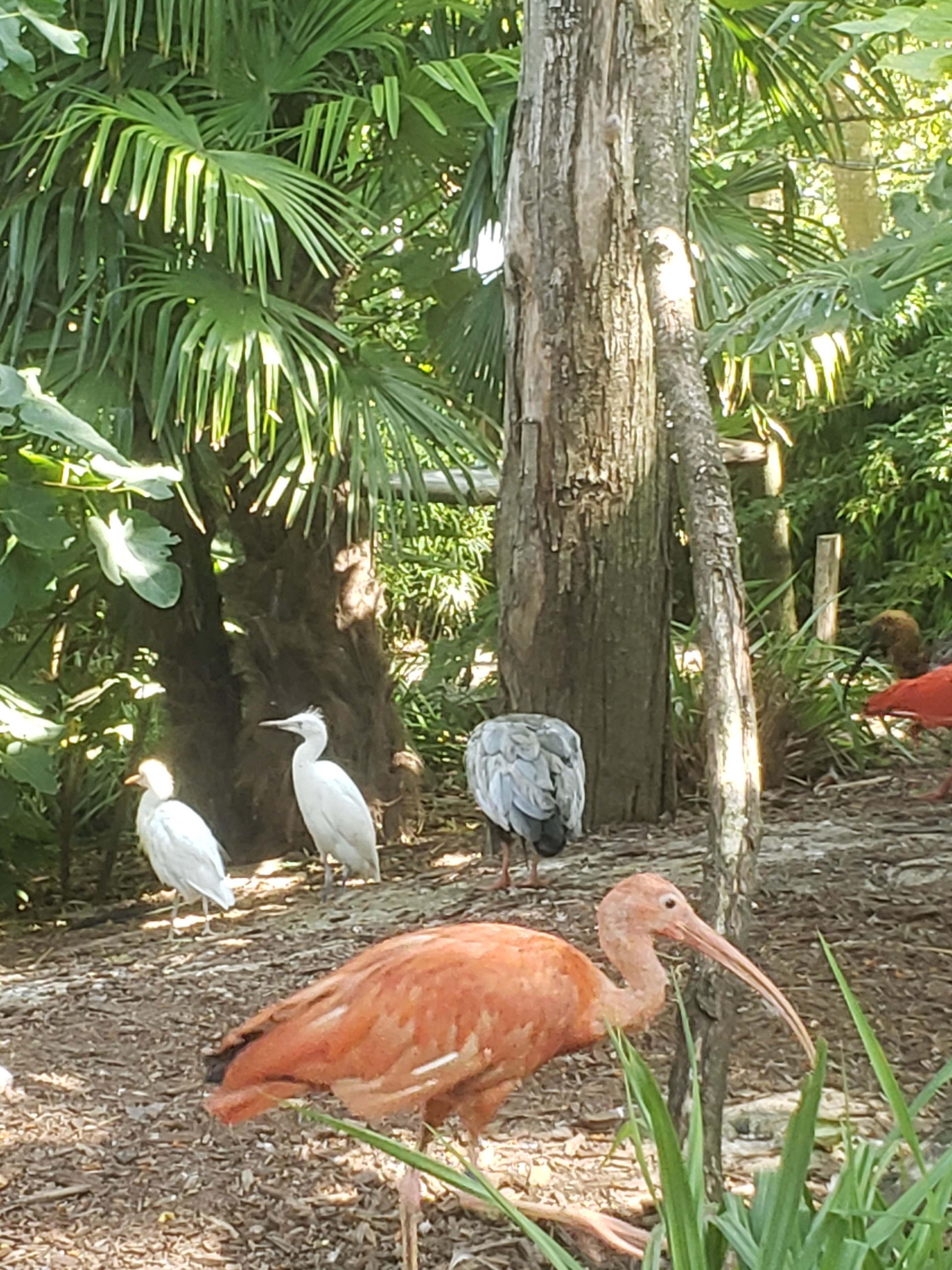 Photo n° 10 de l'avis de Severine. fait le 21/08/2023 à 19:14