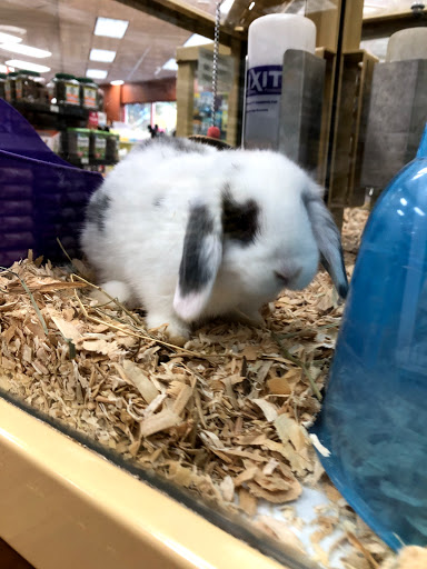 Pet Supply Store «Pet Supermarket», reviews and photos, 1080 Alafaya Trail, Oviedo, FL 32765, USA