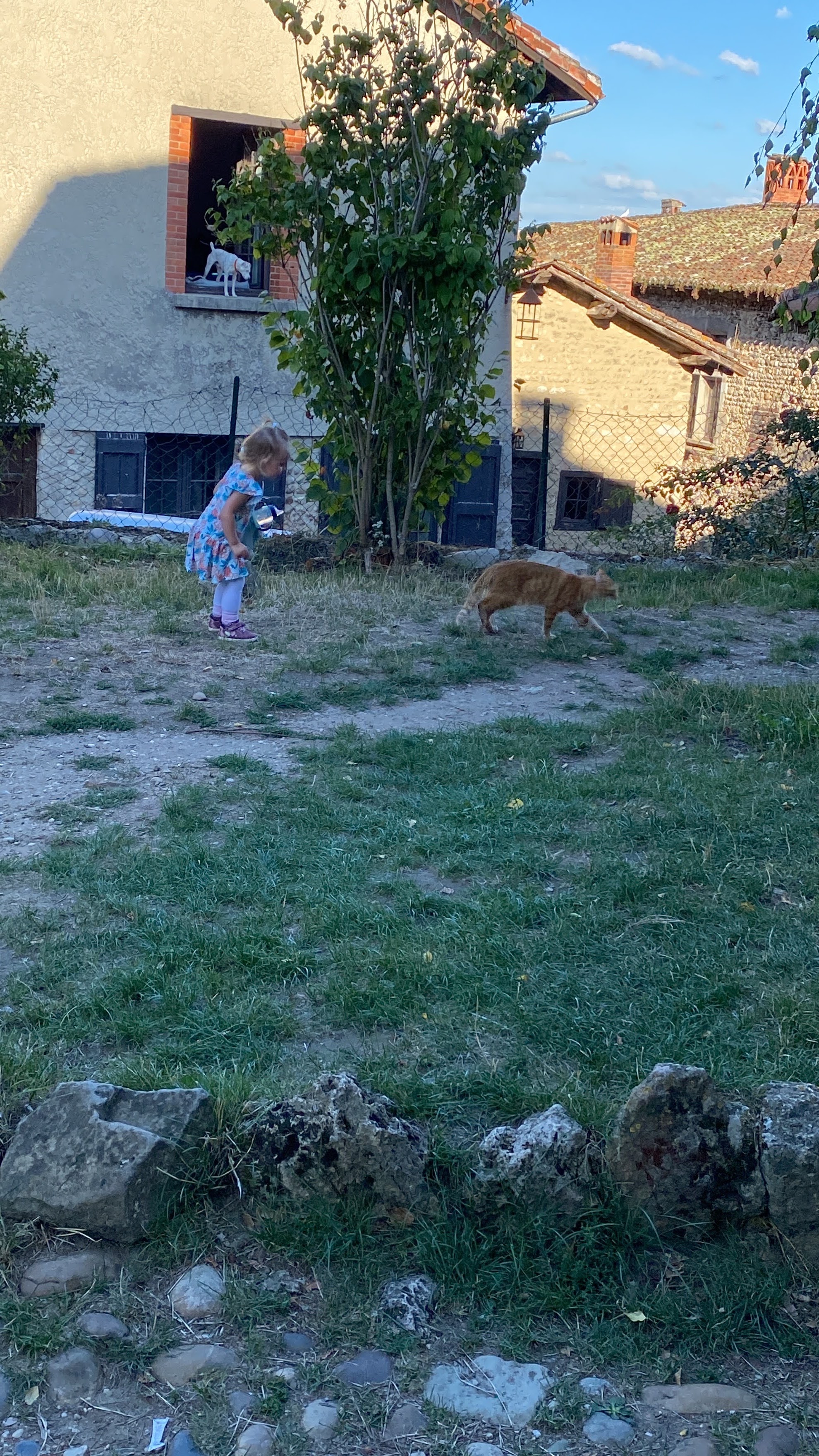 Photo n° 16 de l'avis de Denis.u fait le 17/09/2023 à 15:07
