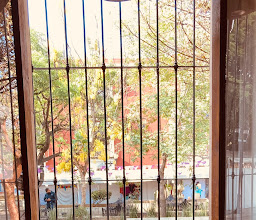 Cafe Los Cuiles photo