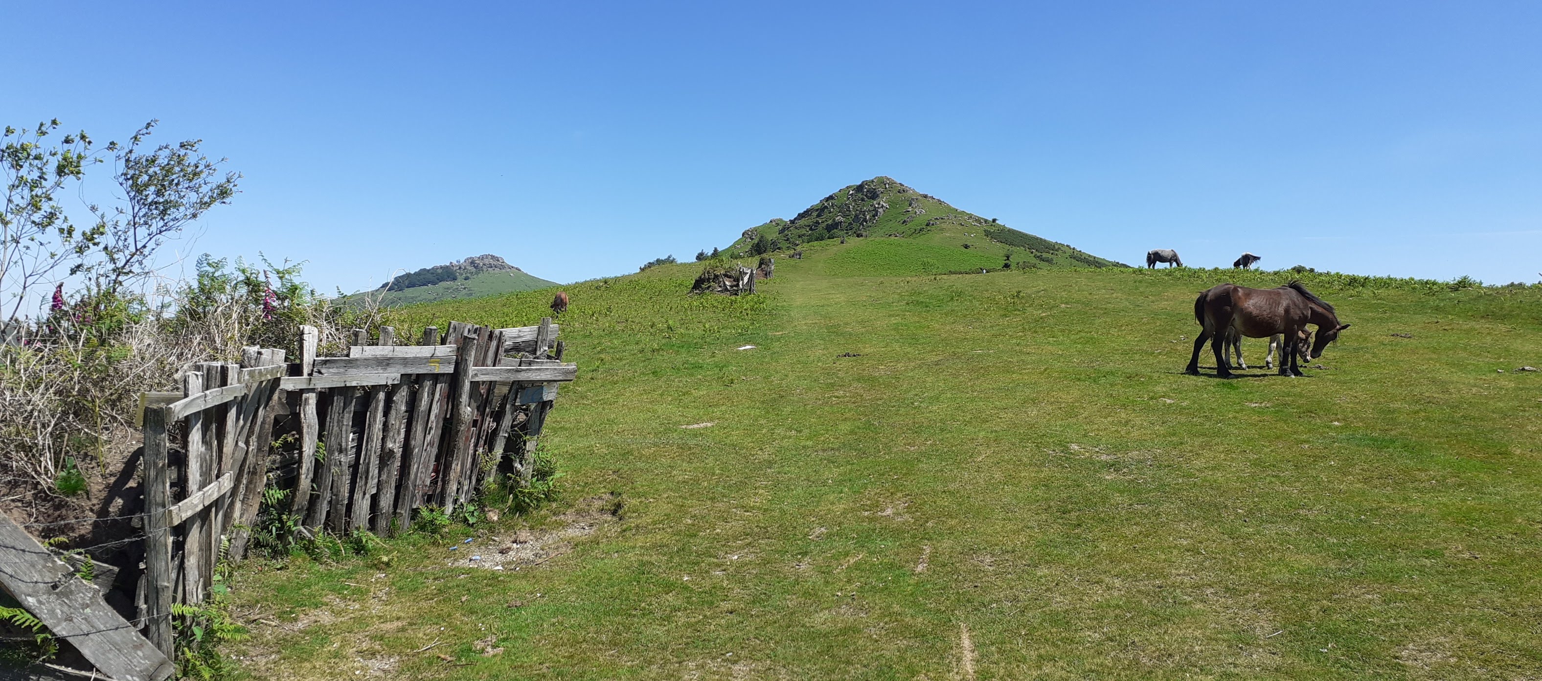 Photo n° 2 de l'avis de Breizh.b fait le 24/05/2020 à 07:07