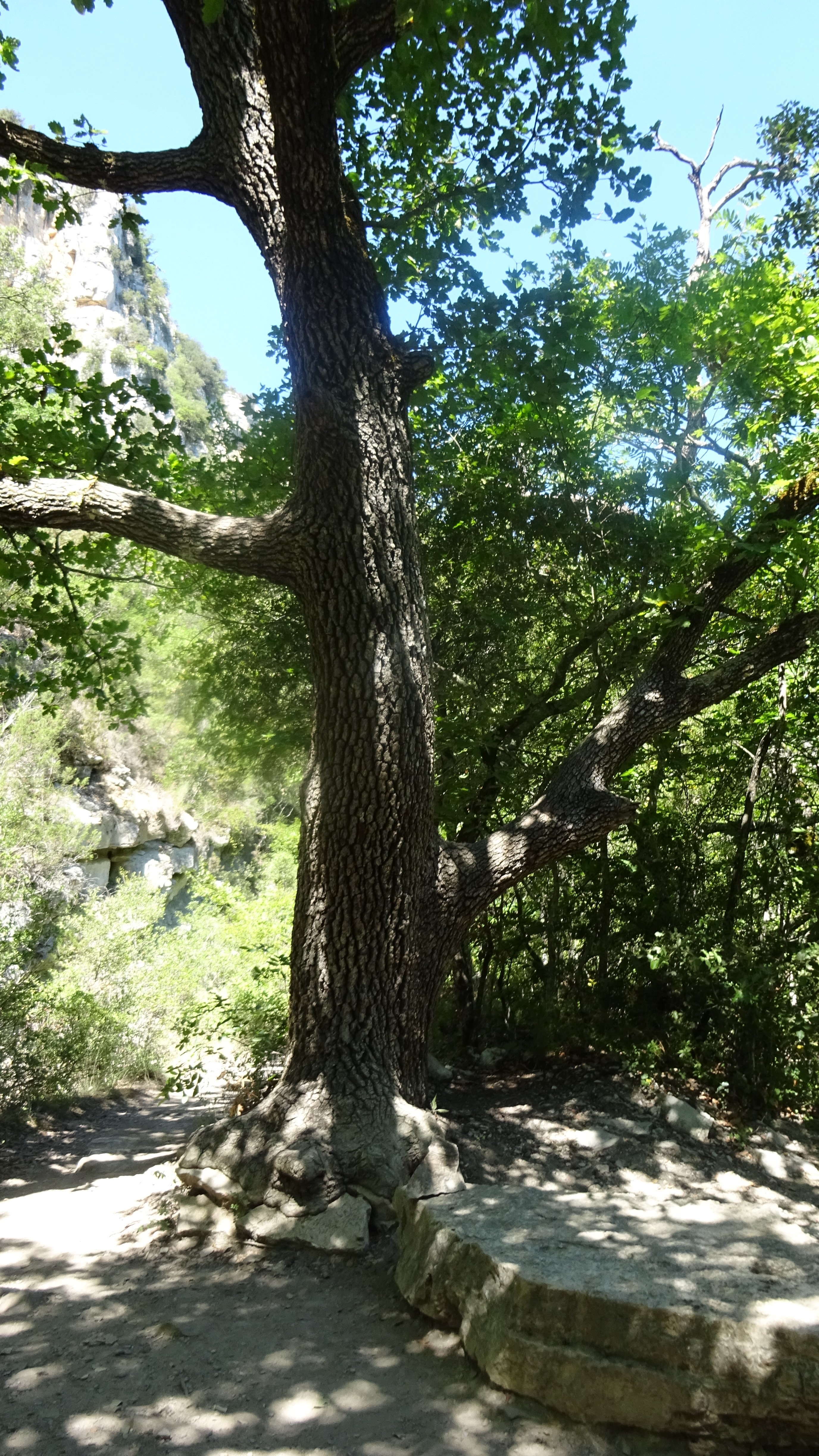 Photo n° 7 de l'avis de Wendelyn.o fait le 20/07/2022 à 18:17