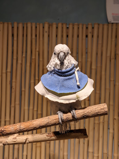 Aquarium «SeaQuest Interactive Aquarium», reviews and photos, 1201 N Hill Field Rd #1072, Layton, UT 84041, USA