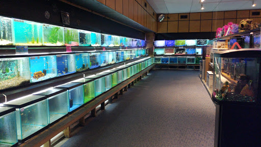 Aquarium Shop «Aquatics Unlimited / Aquatic Realmz», reviews and photos, 3550 S 108th St, Greenfield, WI 53228, USA