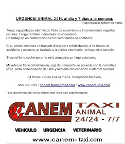 CANEM TAXI translado y Urgencias Mascotas 21860 Villalba del Alcor, Huelva, España