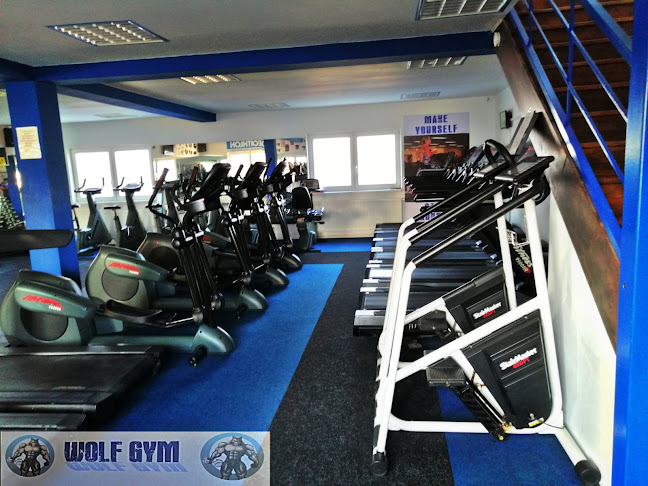 Opinii despre Wolf Gym Fitness & Bodybuilding în Sibiu - Sala de Fitness