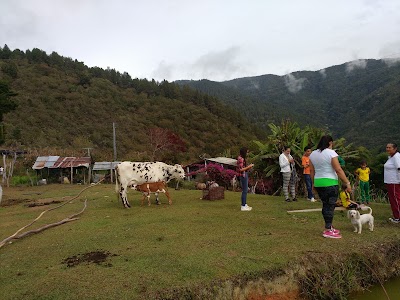 Photos of EFECTY MATANZA CALLE 9