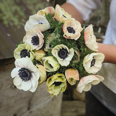 True Bloom Farm- Seasonal Flower Farm and Event Florist