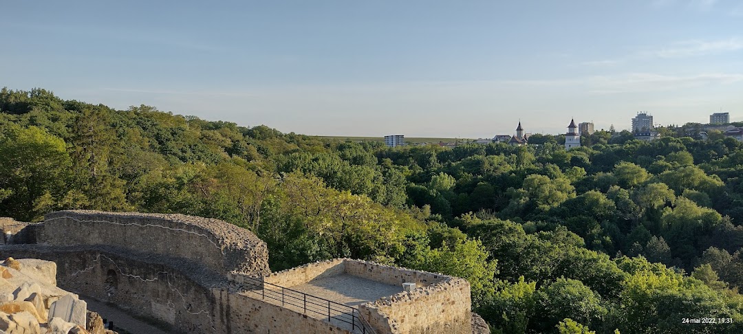 Suceava, Romanya