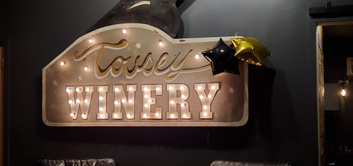 Winery «Tousey Winery», reviews and photos, 1774 U.S. 9, Germantown, NY 12526, USA