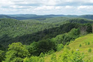 Hammersley Wild Area image