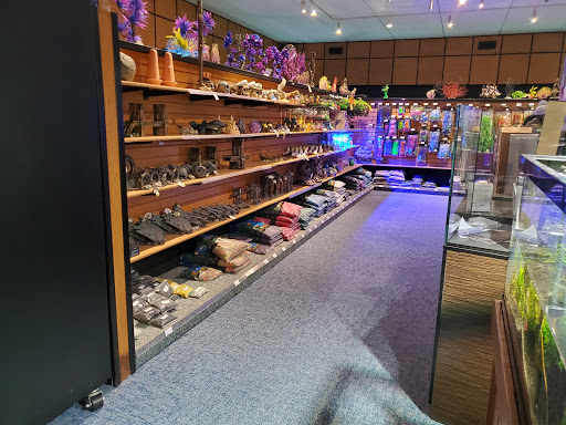 Aquarium Shop «Aquatics Unlimited / Aquatic Realmz», reviews and photos, 3550 S 108th St, Greenfield, WI 53228, USA