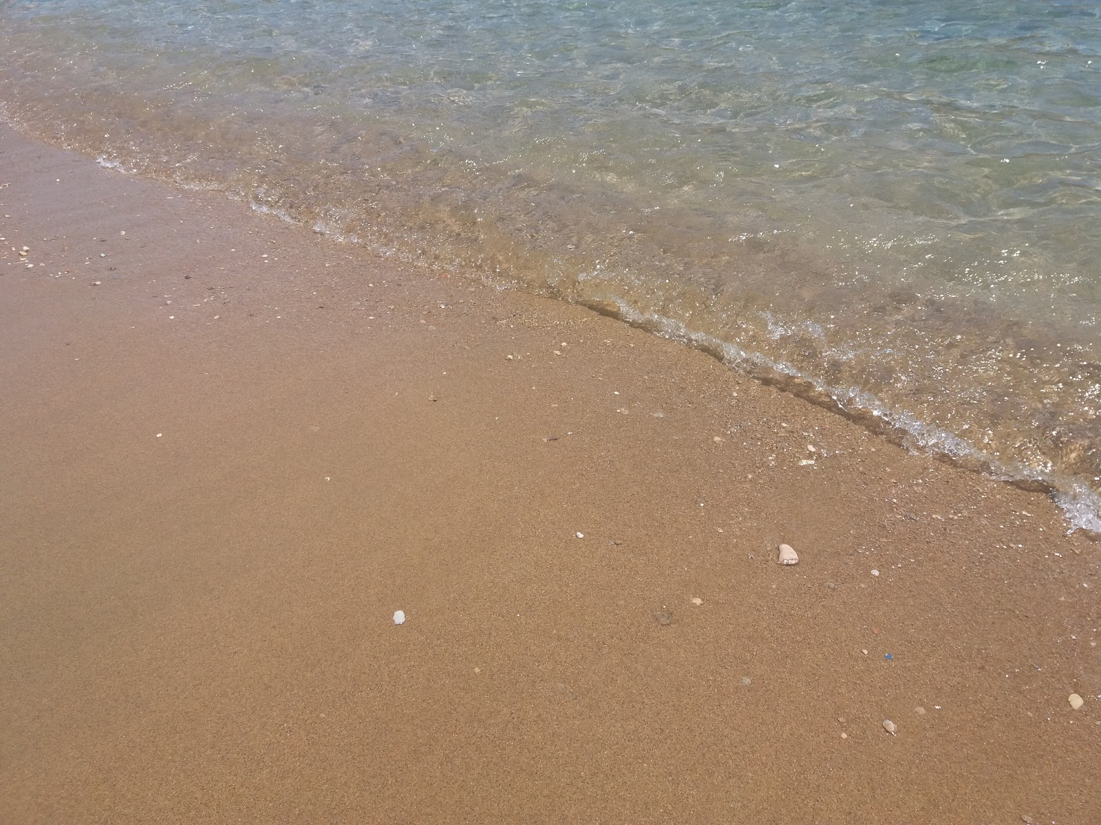 Batsi Plajı'in fotoğrafı ve yerleşim