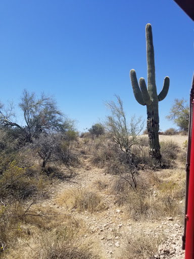 Tourist Attraction «Apache Trail Tours», reviews and photos, 4650 N Mammoth Mine Rd, Apache Junction, AZ 85119, USA