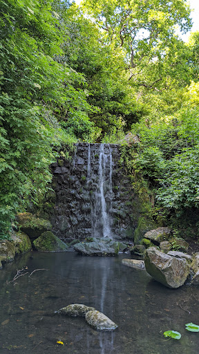 Bushy Park Waterfall