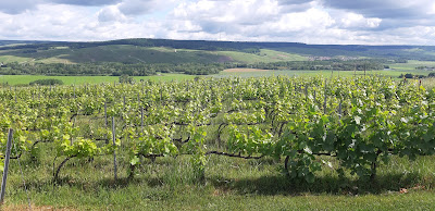 Champagne Lejeune Del'Hozanne à Avenay-Val-d'Or
