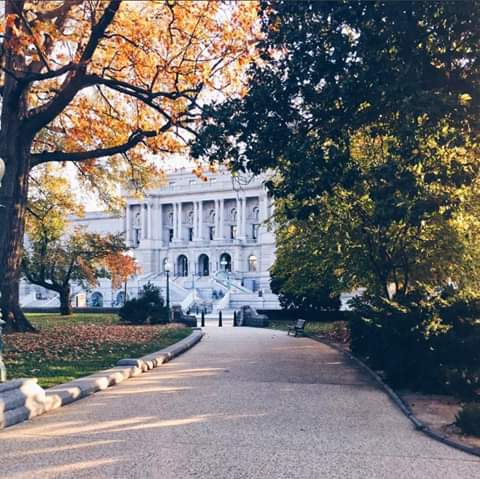 Sightseeing Tour Agency «Old Town Trolley and DC Duck Tours», reviews and photos, 50 Massachusetts Ave NE, Washington, DC 20002, USA
