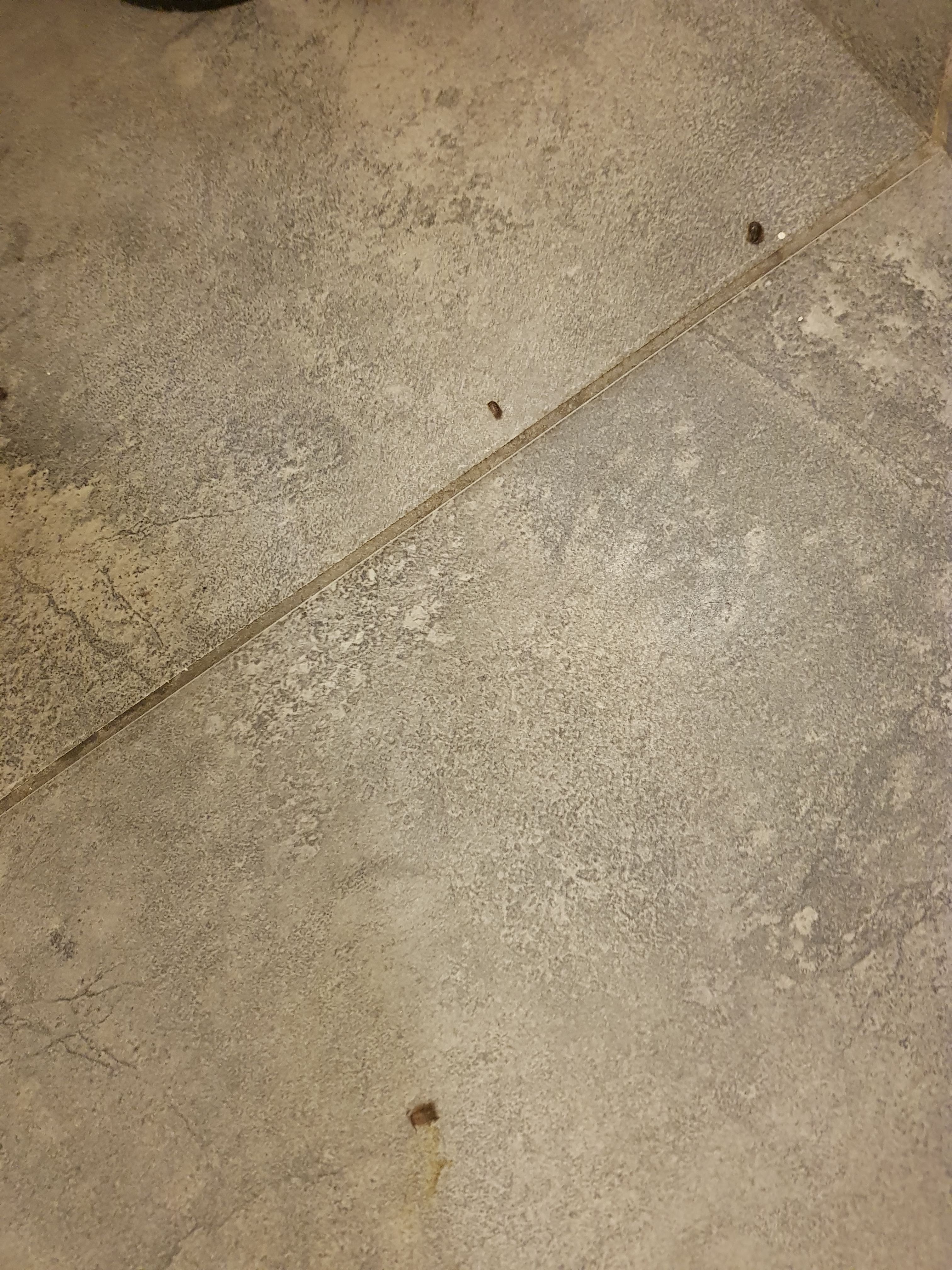 Photo n° 2 de l'avis de Sab.i fait le 30/09/2019 à 08:12