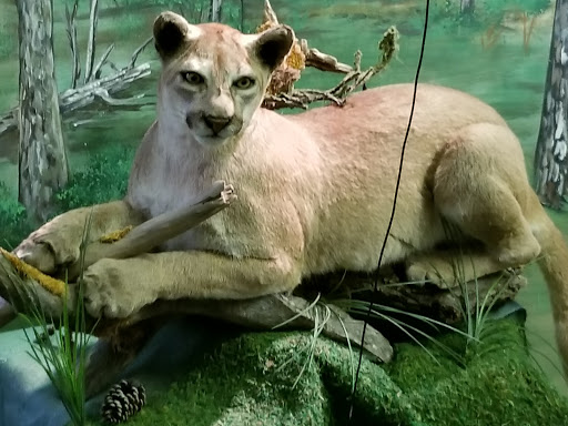 Park «Lake Houston Wilderness Park», reviews and photos, 25840 FM 1485, New Caney, TX 77357, USA