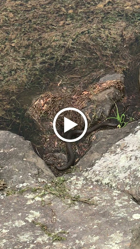 Park «Winding Hills Park», reviews and photos, 2 Old Rte 17K, Montgomery, NY 12549, USA