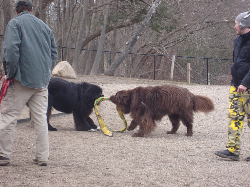 Dog Park «Danvers Dog Park», reviews and photos, 29 Ingersoll St, Danvers, MA 01923, USA