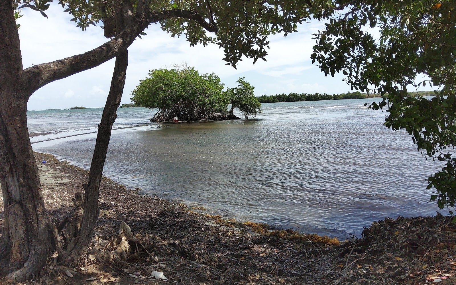 Playa Clavellina的照片 带有碧绿色纯水表面