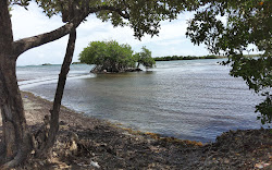 Foto de Playa Clavellina com baía espaçosa
