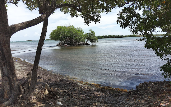 Playa Clavellina