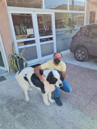 Vetclinic Ευάγγελος Τάσσος Ανοιχτές ώρες