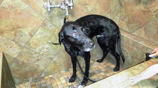 Pet Supply Store «Pet Valu», reviews and photos, 18115 Town Center Dr, Olney, MD 20832, USA