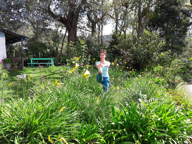 SATI YOGA Y MEDITACIÓN - La Ceja