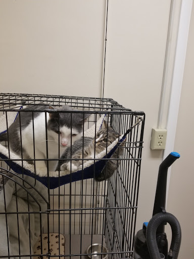 Noah's Ark Animal Hospital image