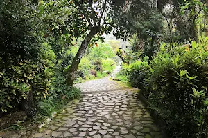 Guanyin Trail image