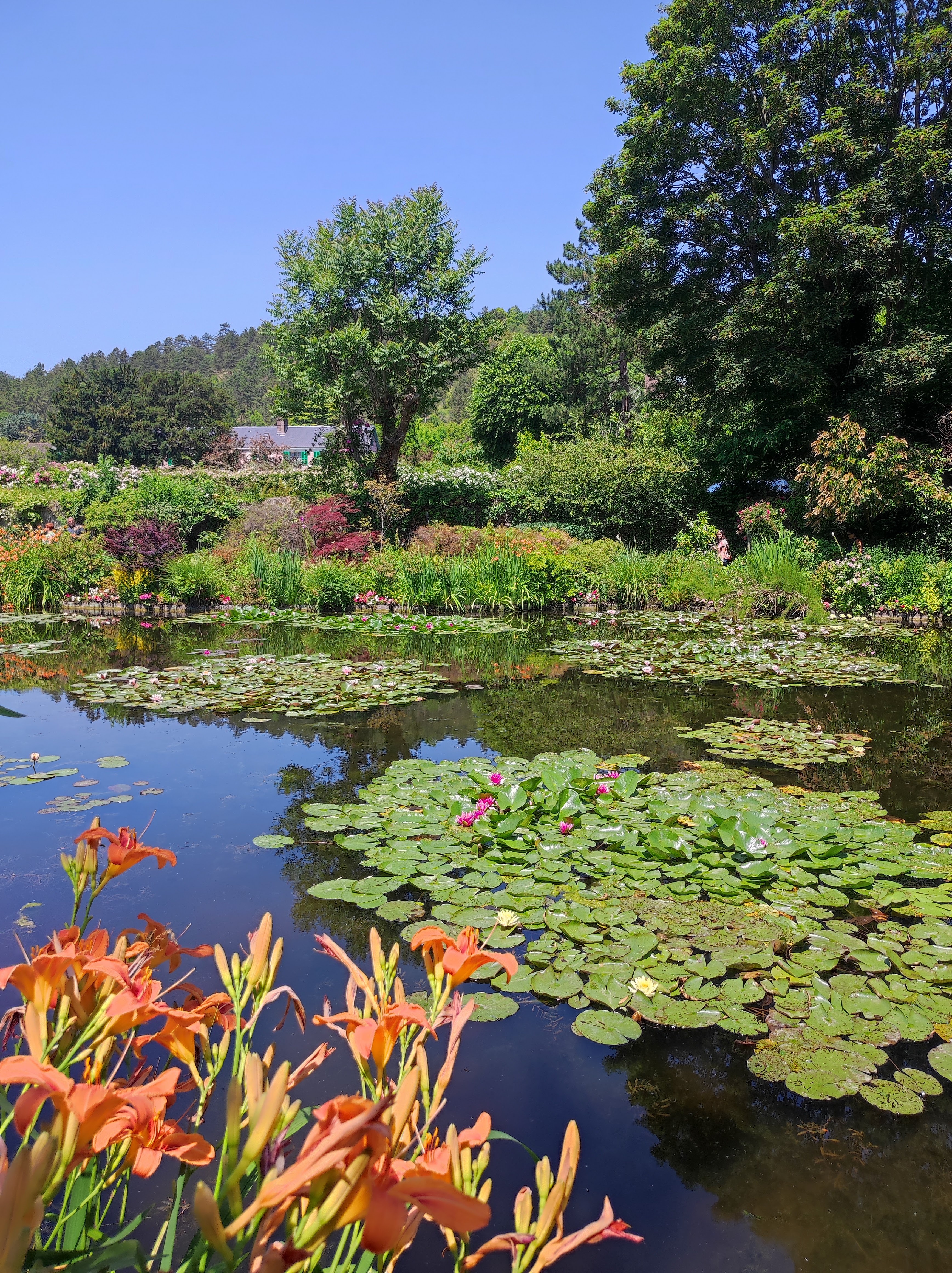 Photo n° 6 de l'avis de Nicole.e fait le 15/06/2023 à 04:49