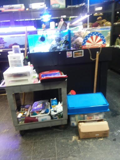 Pet Store «Petland», reviews and photos, 2123 Old Hudson Rd, St Paul, MN 55119, USA