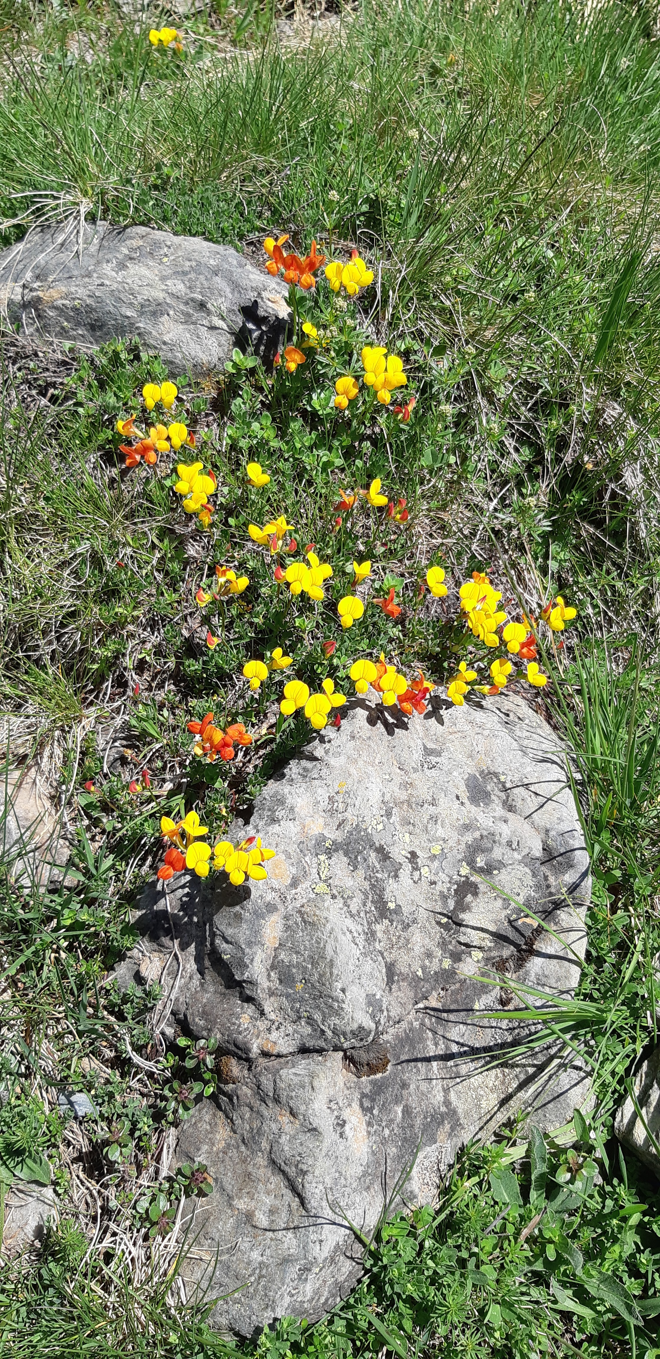 Photo n° 21 de l'avis de Yannick.a fait le 10/07/2019 à 09:58