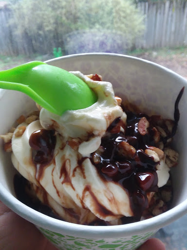 Frozen Yogurt Shop «Yogurt Mountain», reviews and photos, 1801 W Tennessee St #2, Tallahassee, FL 32304, USA