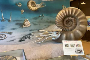 Iwaki Ammonite Center image