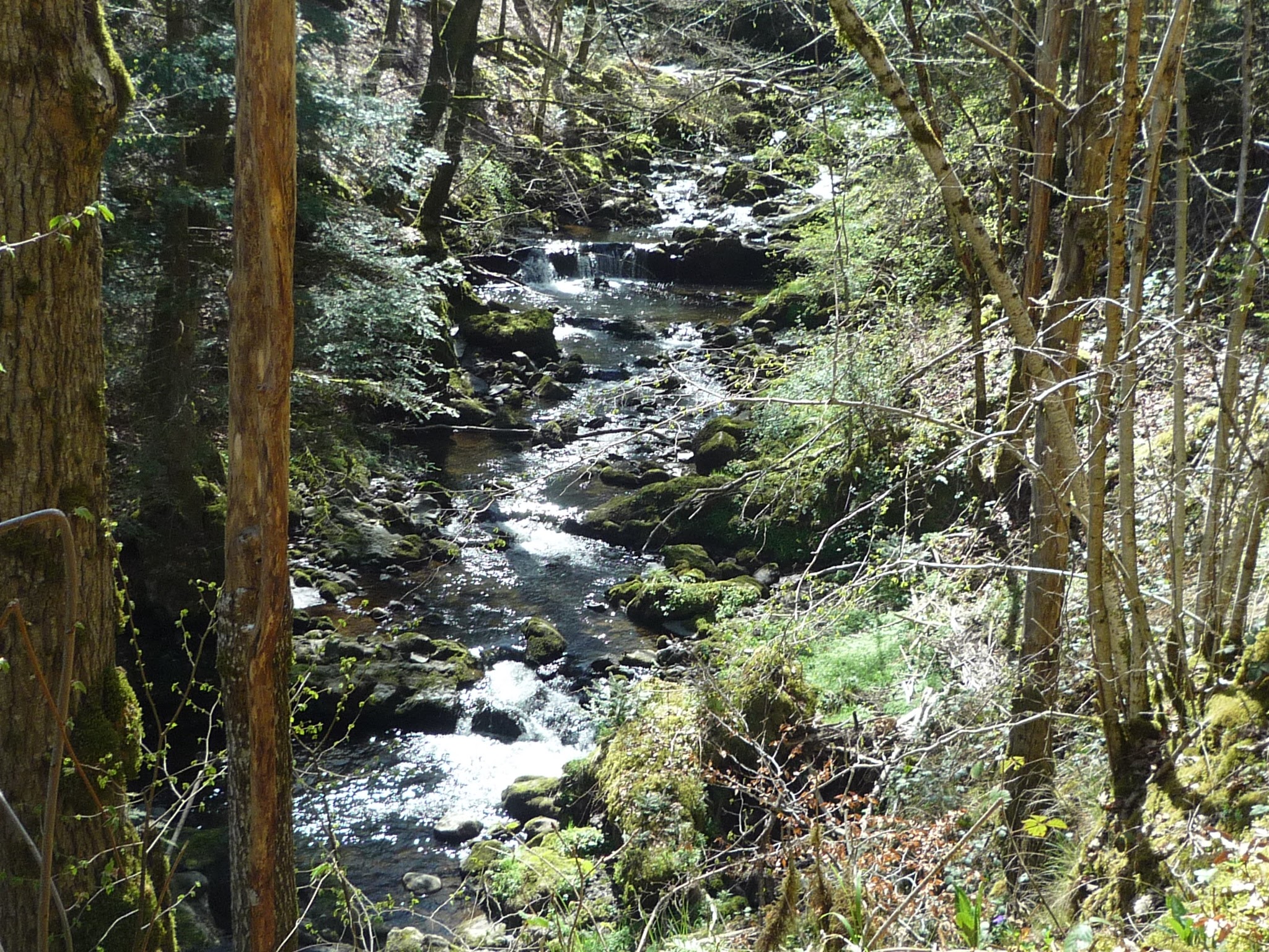 Photo n° 2 de l'avis de Papa.n fait le 24/04/2022 à 17:32