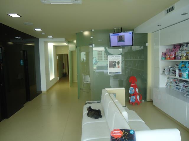 Centro Veterinario Porto Seguro, Lda - Olhão