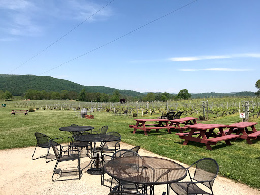 Winery «Philip Carter Winery», reviews and photos, 4366 Stillhouse Rd, Hume, VA 22639, USA