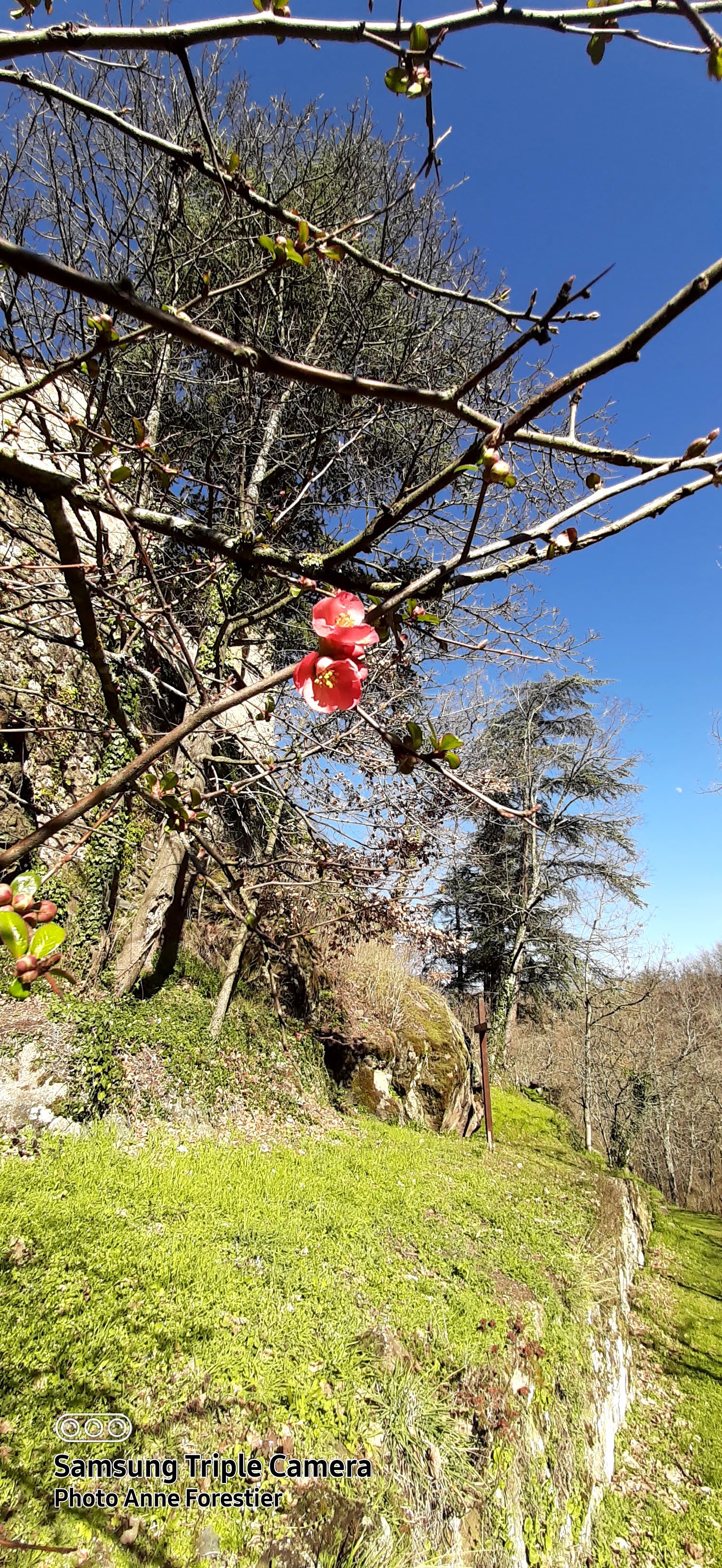 Photo n° 1 de l'avis de Anne.O fait le 29/05/2020 à 15:02
