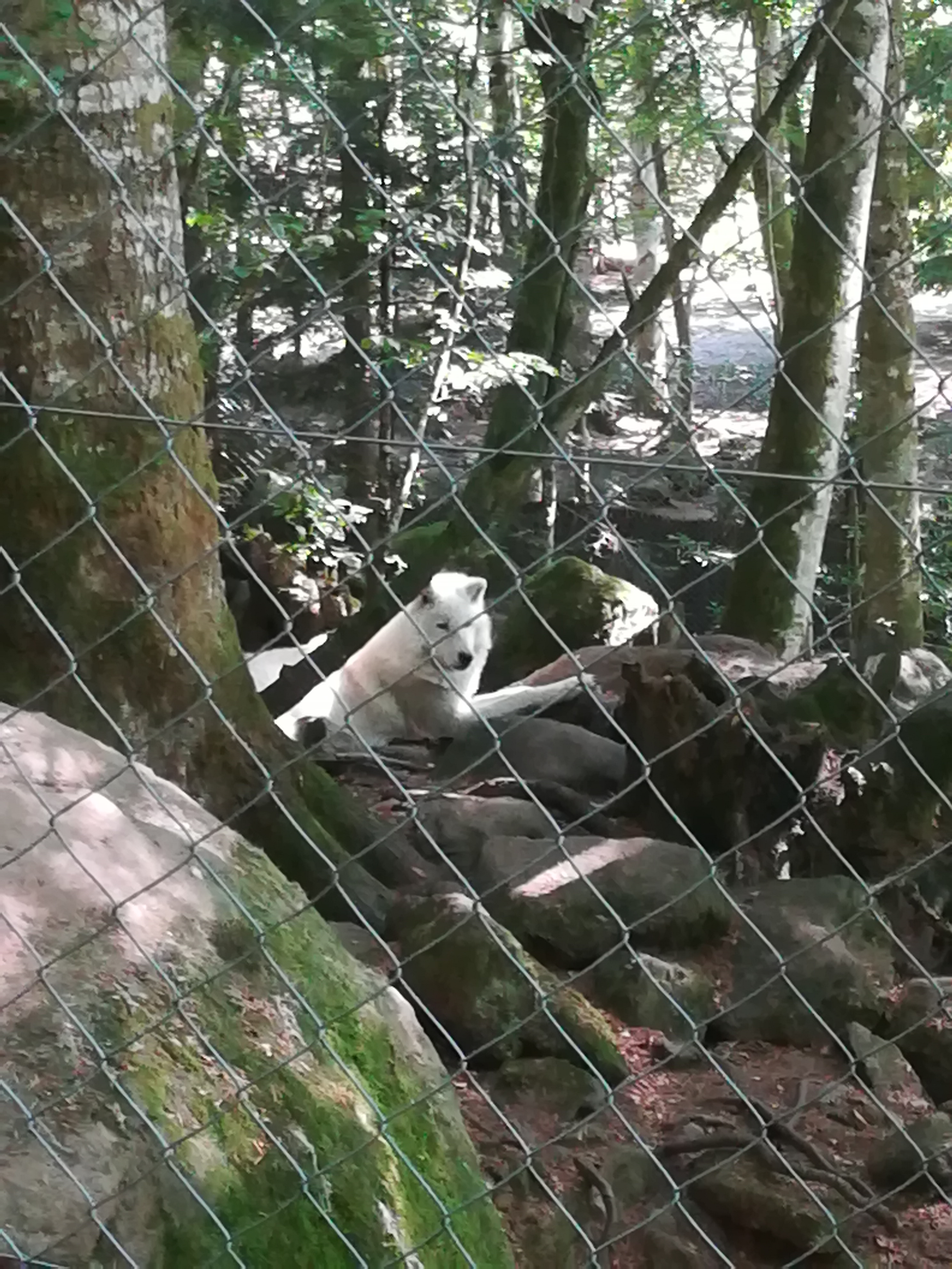 Photo n° 13 de l'avis de Audrey.� fait le 28/07/2017 à 17:11