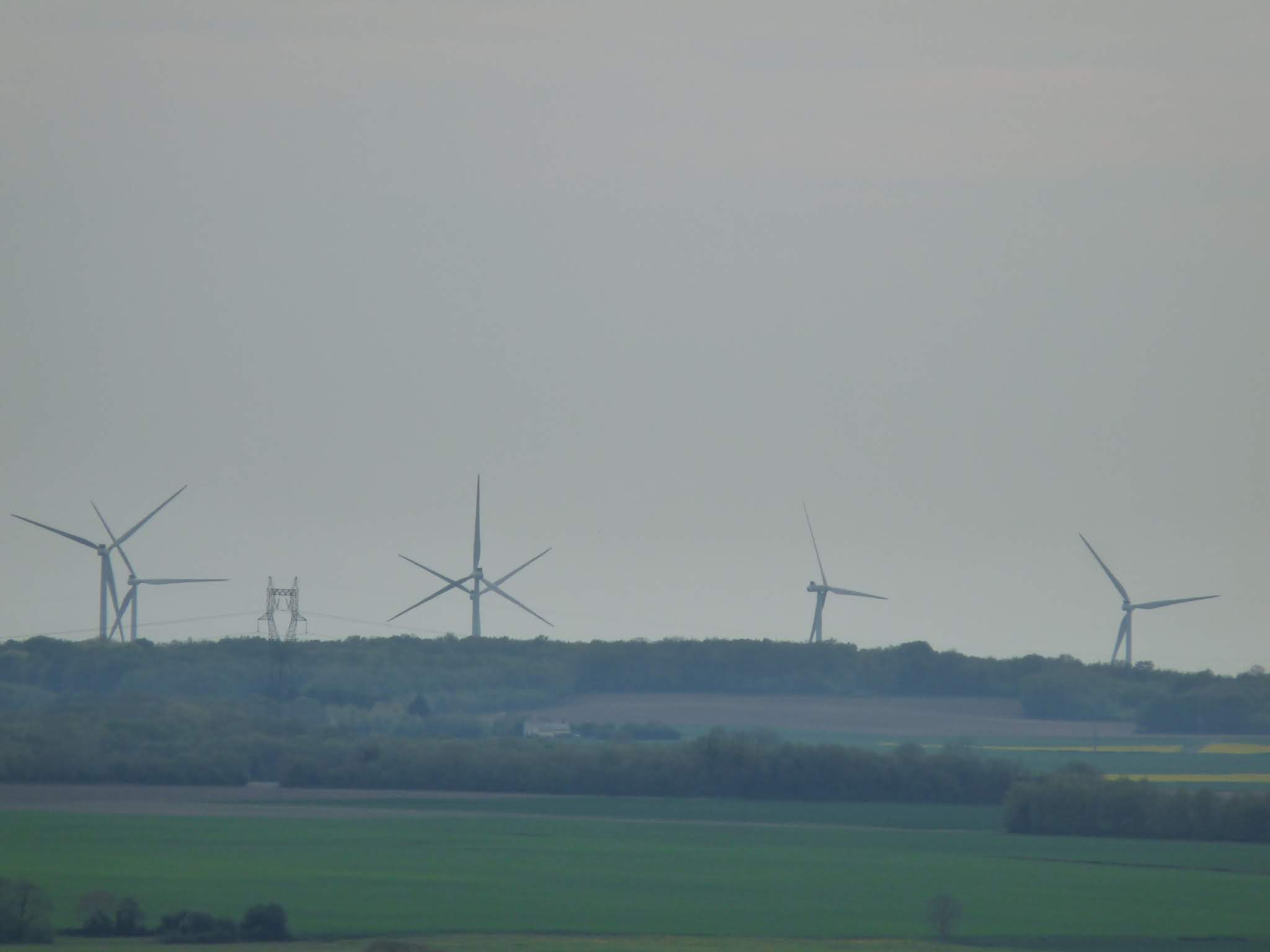 Photo n° 1 de l'avis de Guillaume.i fait le 15/05/2019 à 20:57