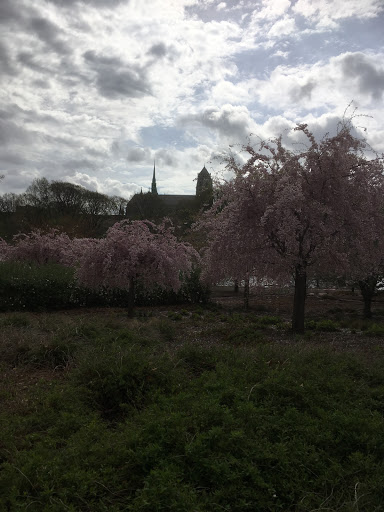 Roller Skating Rink «Branch Brook Park Roller Skating Center», reviews and photos, Clifton Ave, Newark, NJ 07104, USA