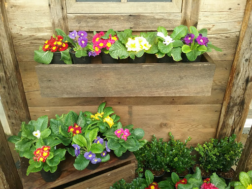 Florist «The Garden», reviews and photos, 155 Main St N, Woodbury, CT 06798, USA