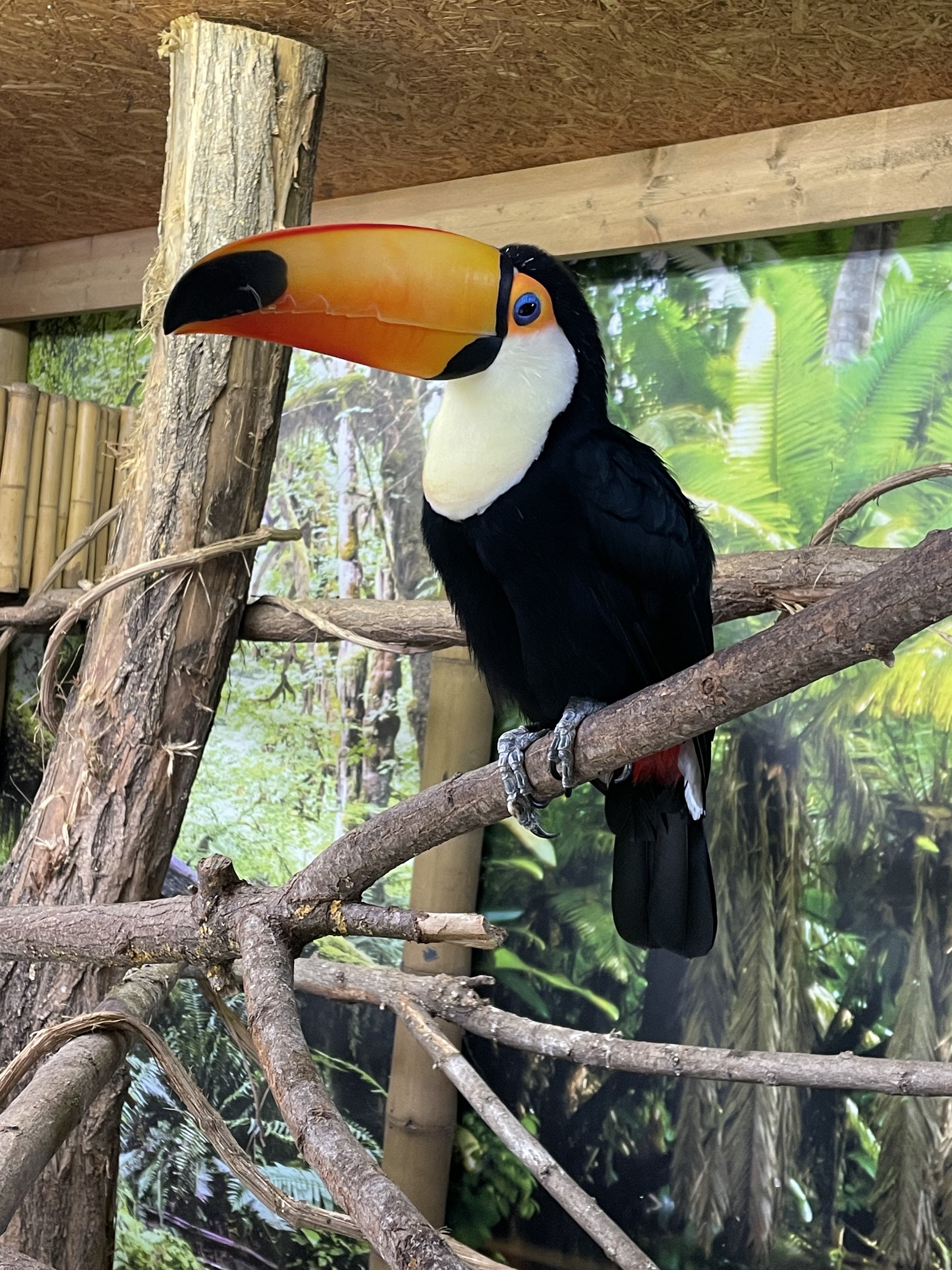 Photo n° 1 de l'avis de Arthur.e fait le 12/09/2023 à 17:48