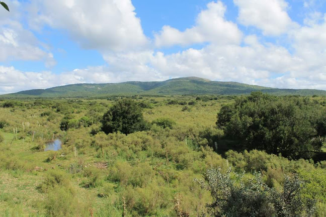 Tierra Pura Uruguay