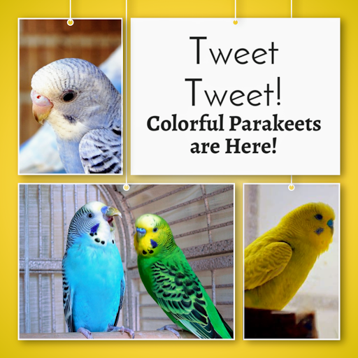 Pet Store «Pets Plus», reviews and photos, 454 TN-46, Dickson, TN 37055, USA