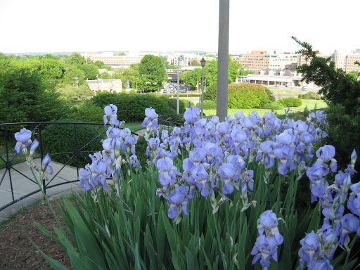 Museum «The George Washington Masonic National Memorial», reviews and photos, 101 Callahan Dr, Alexandria, VA 22301, USA